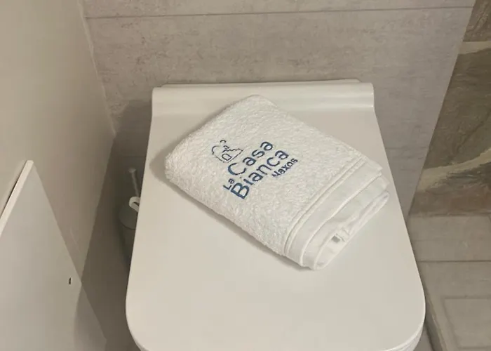 וילה La Casa Bianca Naxos *